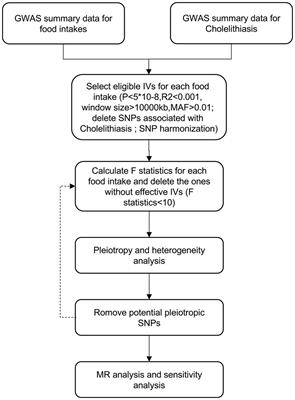 Mendelian randomization study on the causal relationship between food and cholelithiasis